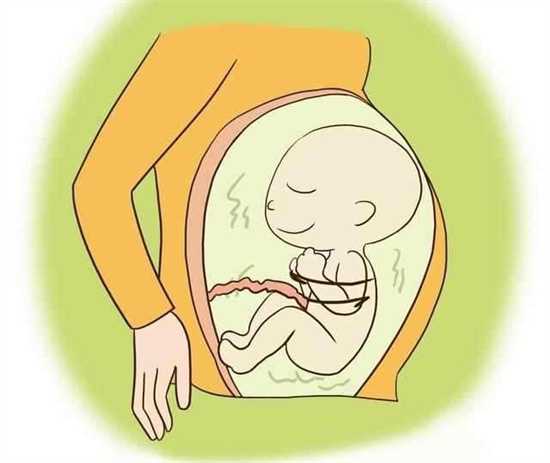 宝宝19个月饮食指南：营养丰富、美味可口的食谱推荐