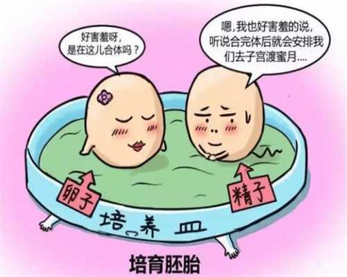 珠海供卵卵泡（广州供卵试管公司）