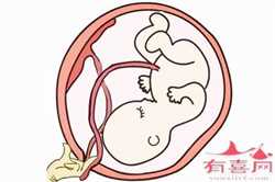 40岁供卵自怀成功率_2022北京协和医院试管婴儿成功率参考，生殖中心医生排名